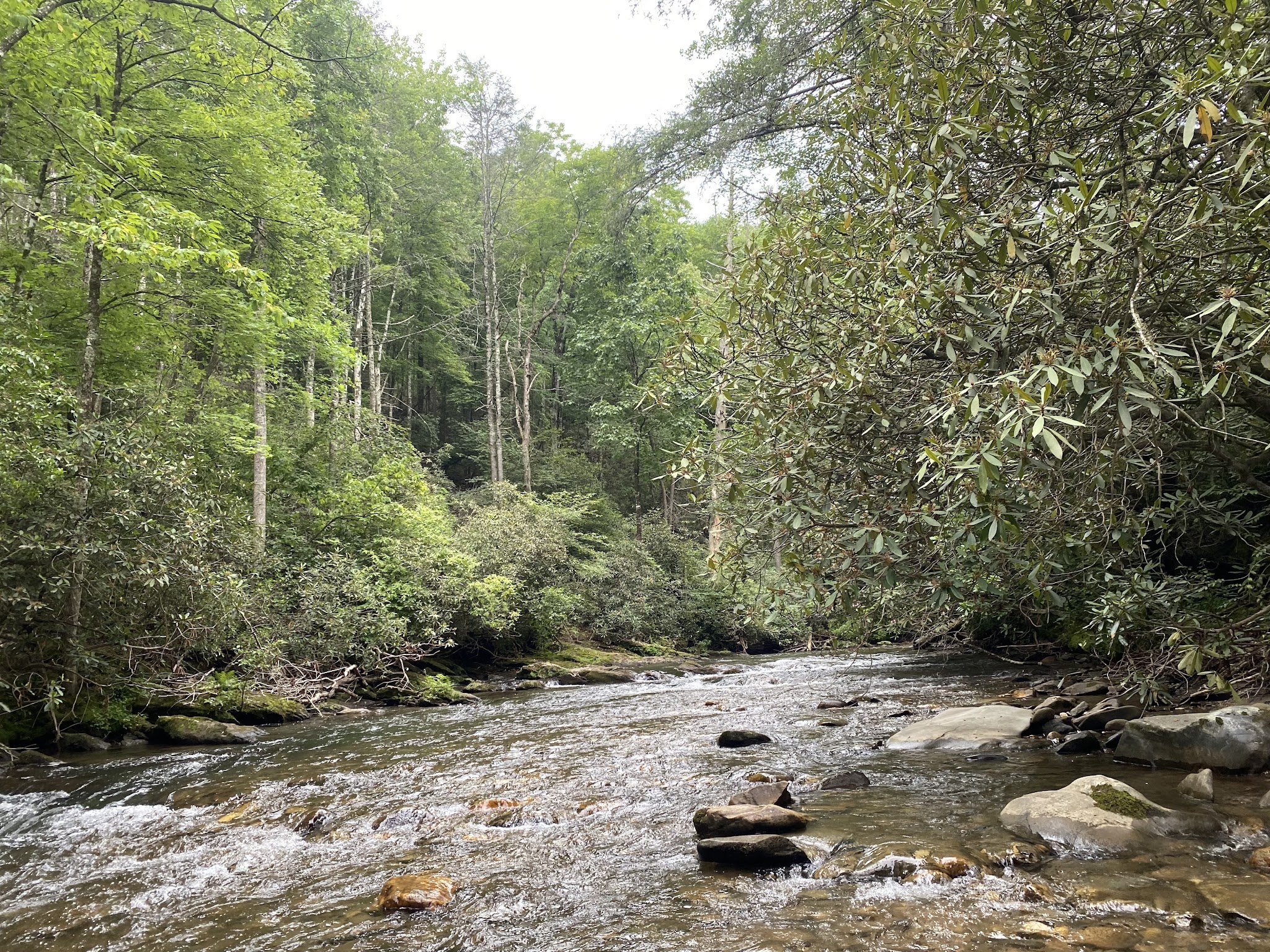 Tallulah River Campground