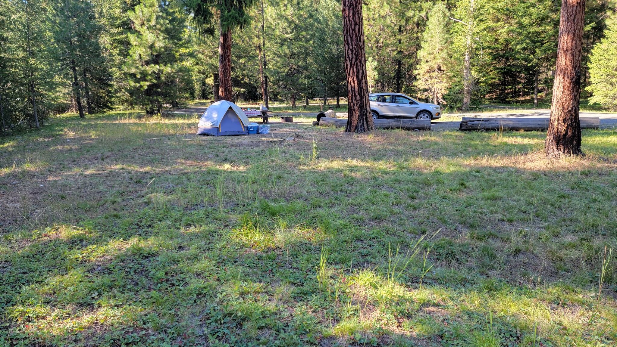 Tamarack Campground