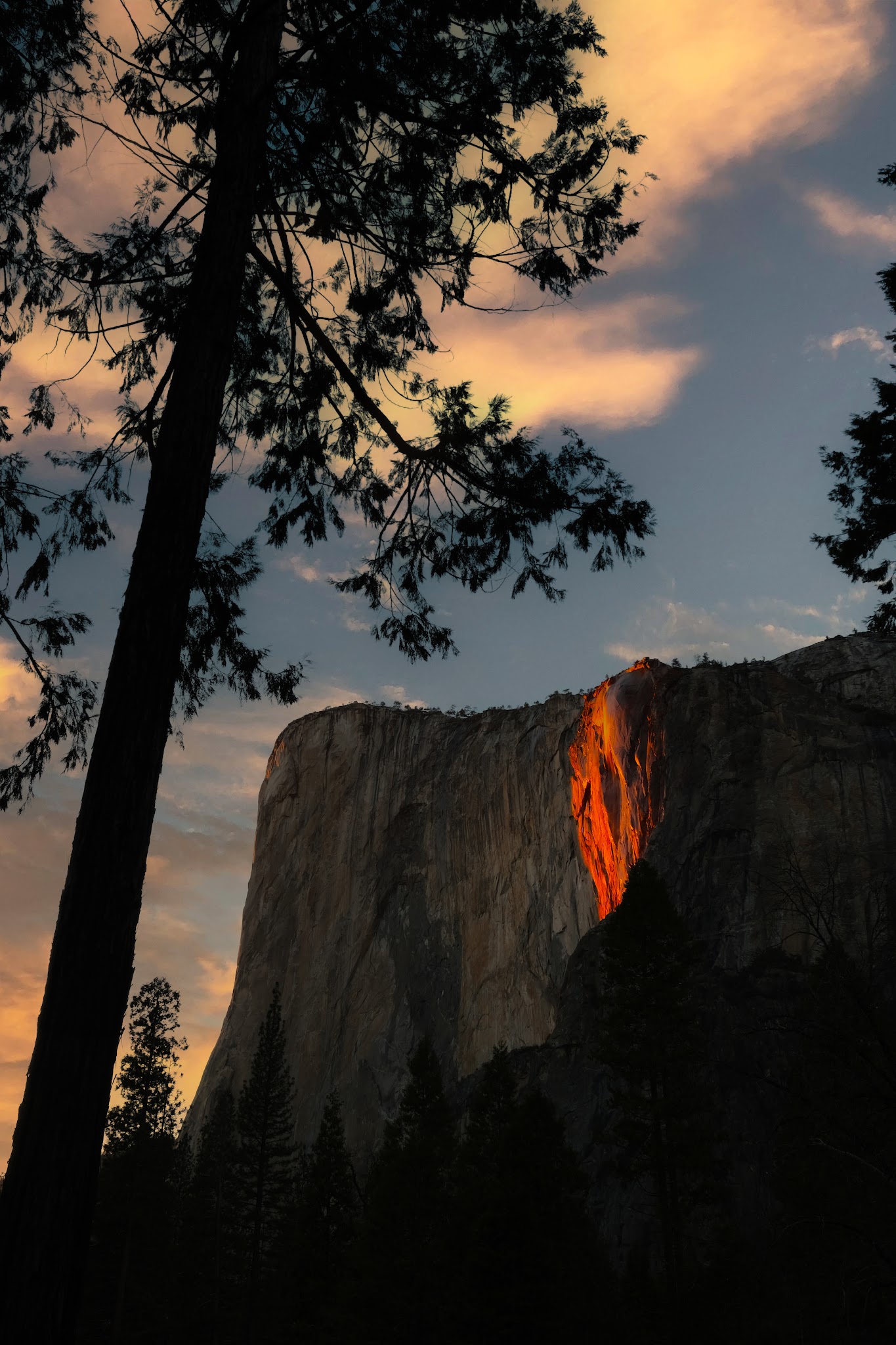 Tamarack Flat Campground