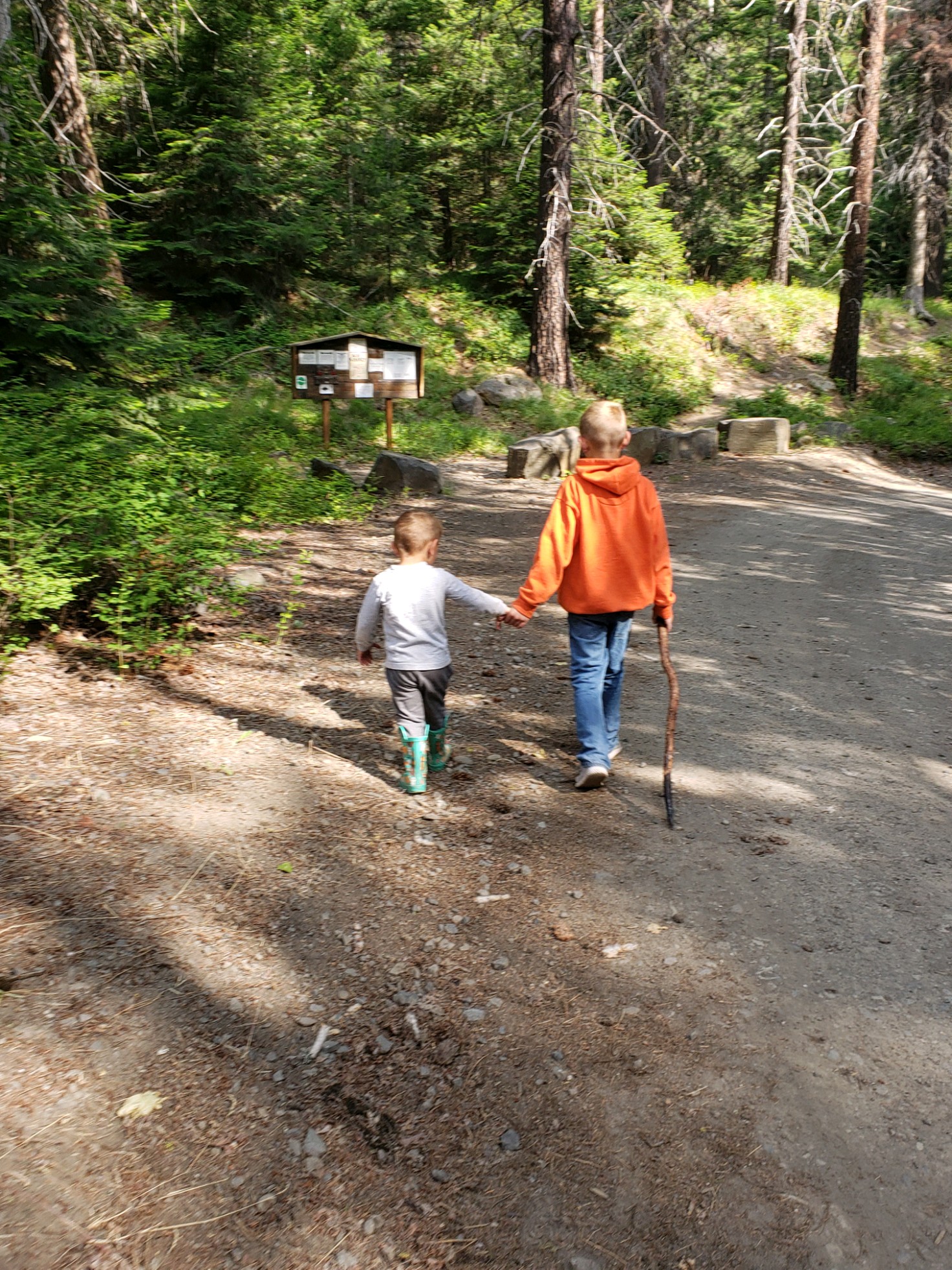 Taneum Junction Campground