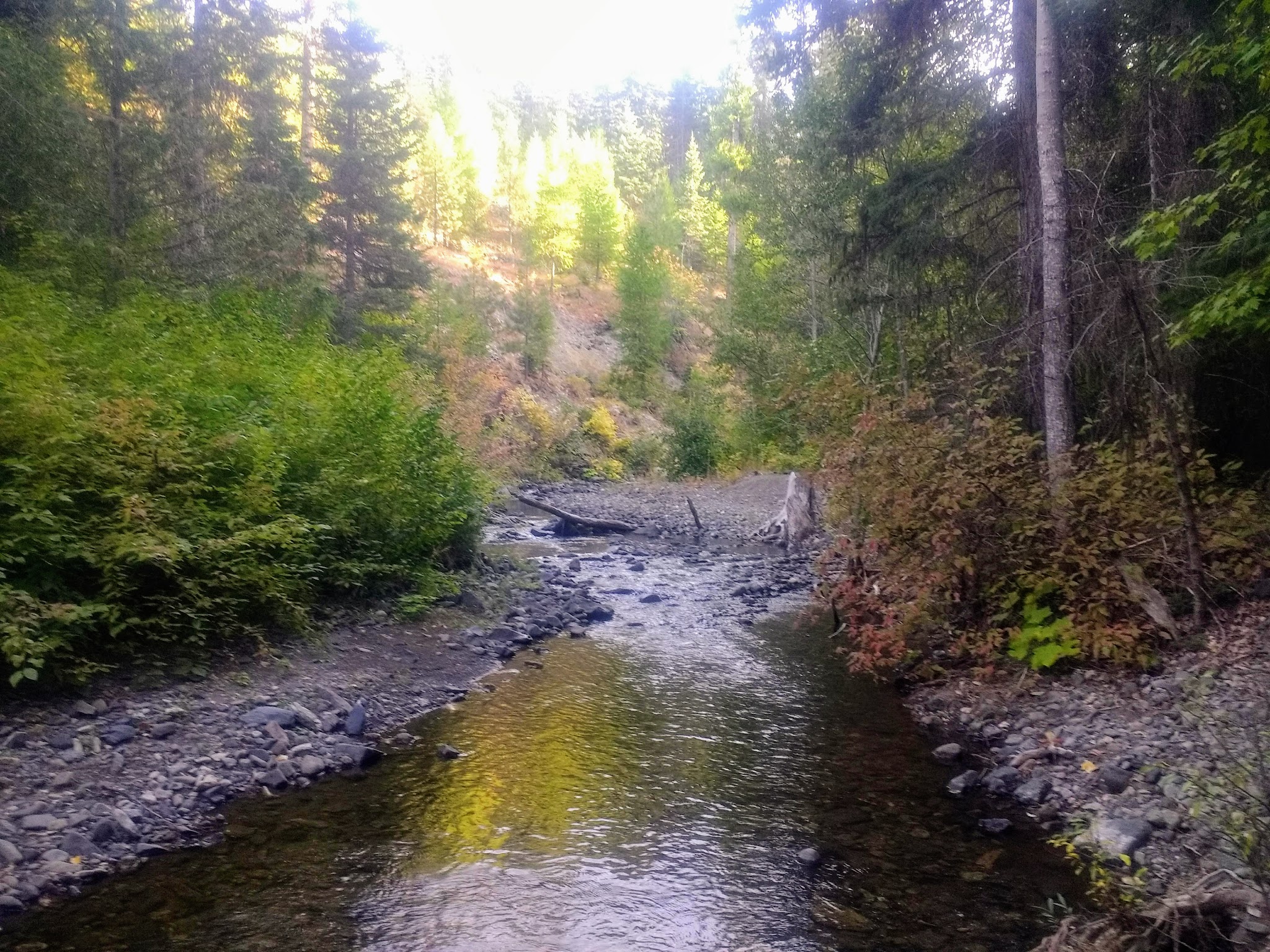 Taneum Junction Campground