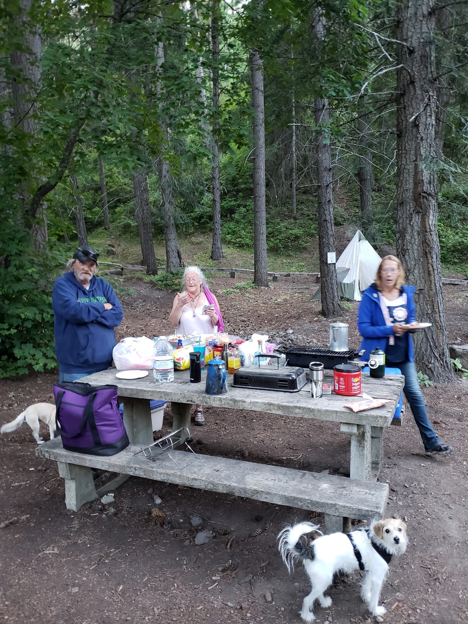 Taneum Junction Campground