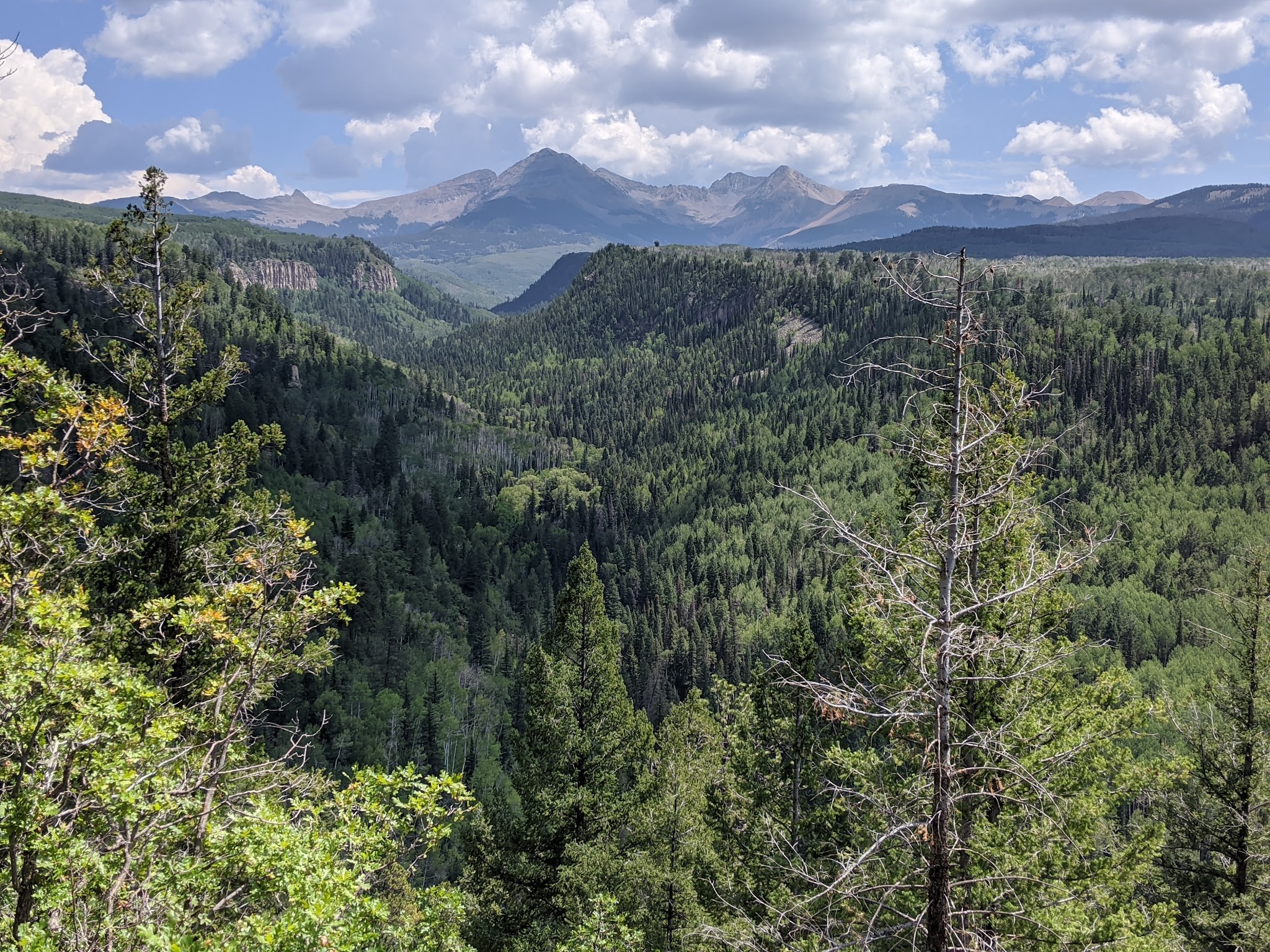 Target Tree Campground