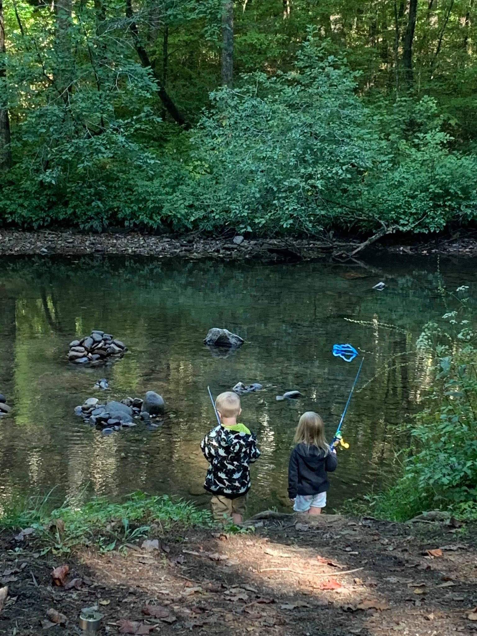 Tate Branch Campground