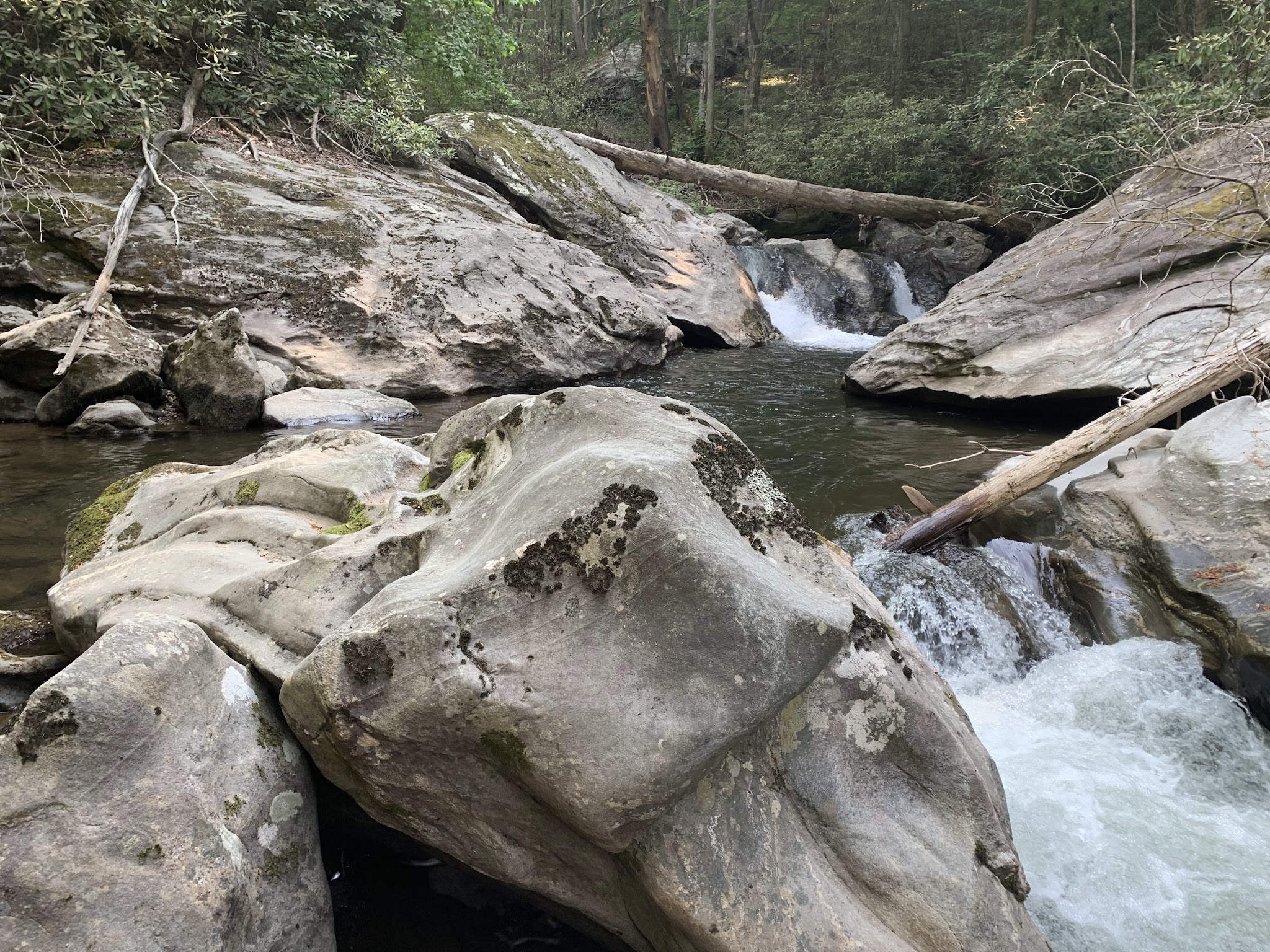 Tate Branch Campground