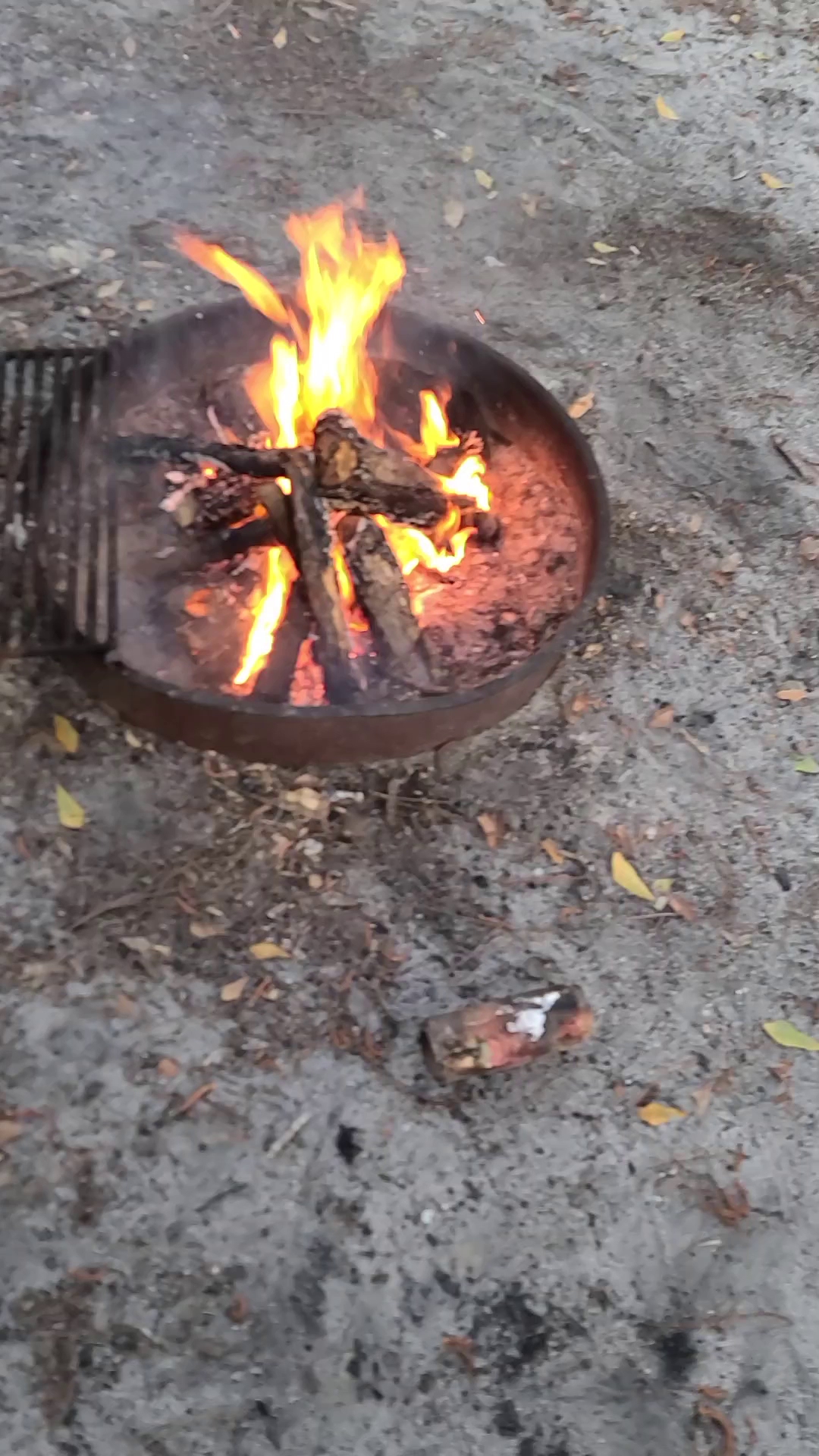 Tate&Apos;S Hell State Forest Juniper Creek Primitive Campsites