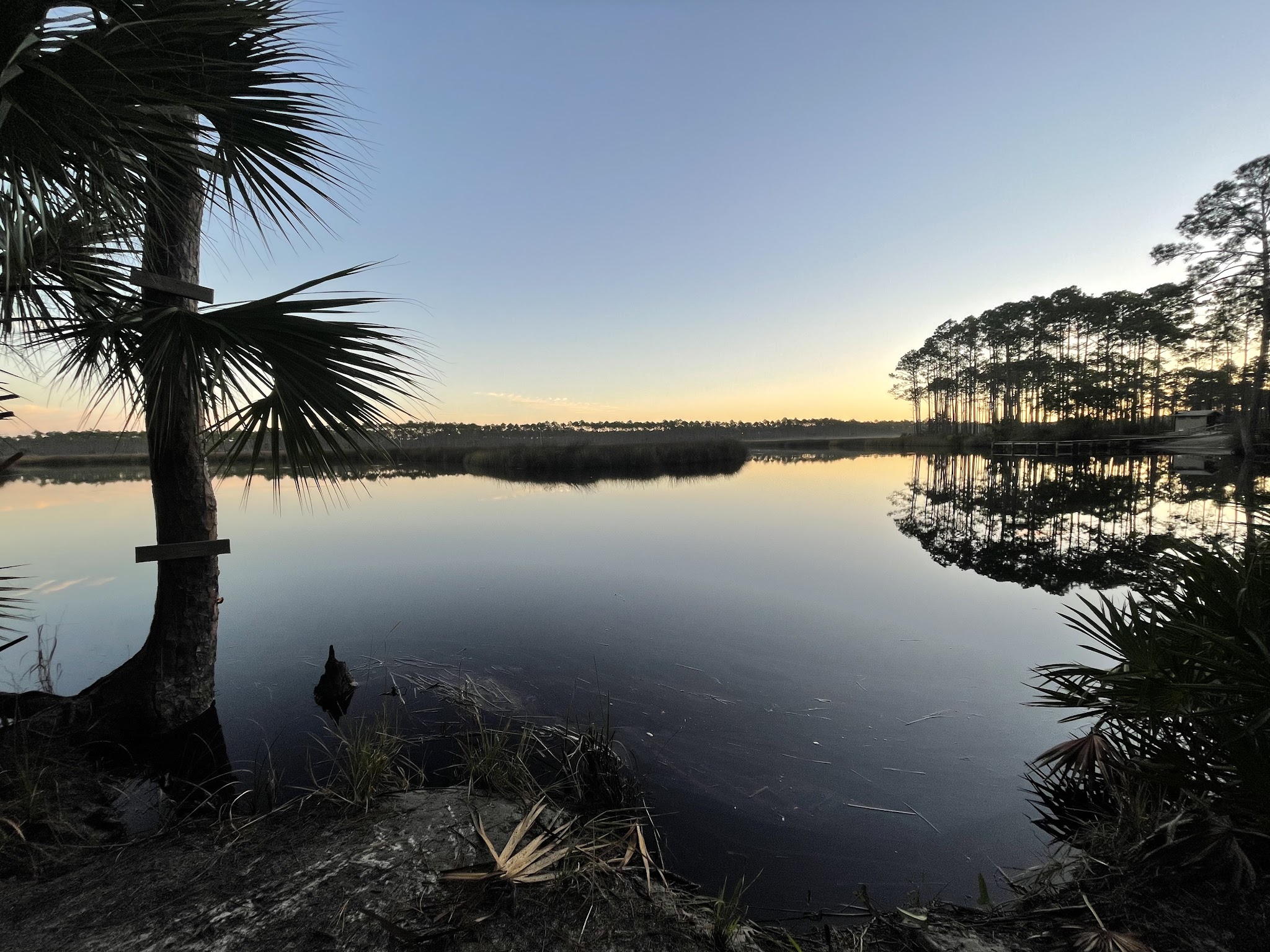 Tate&Apos;S Hell State Forest Cash Creek Campground