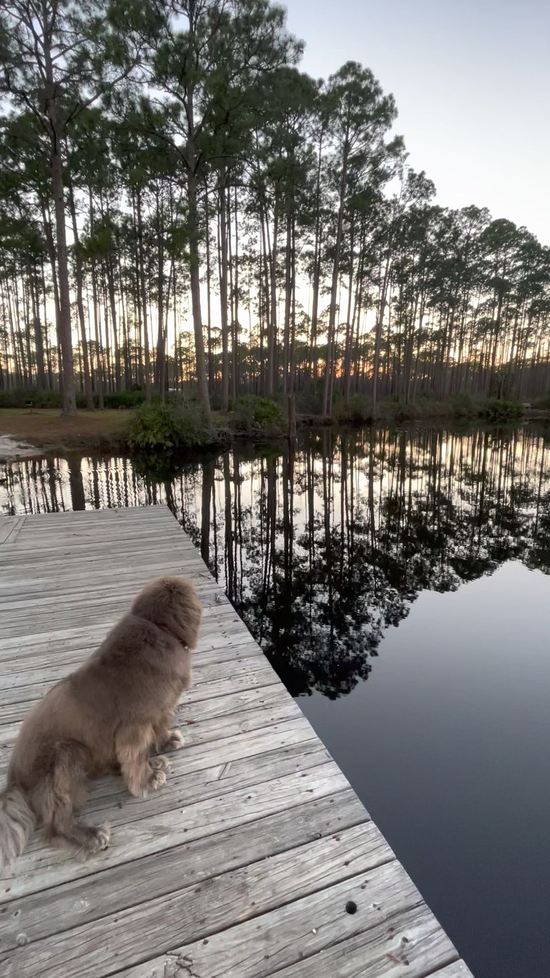Tate&Apos;S Hell State Forest Cash Creek Campground