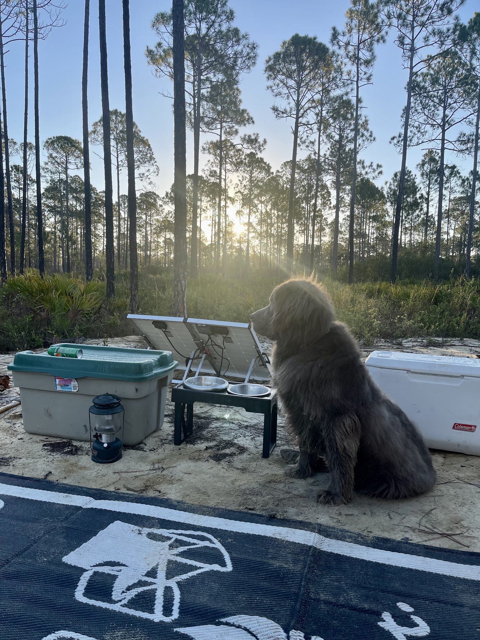 Tate&Apos;S Hell State Forest Cash Creek Campground