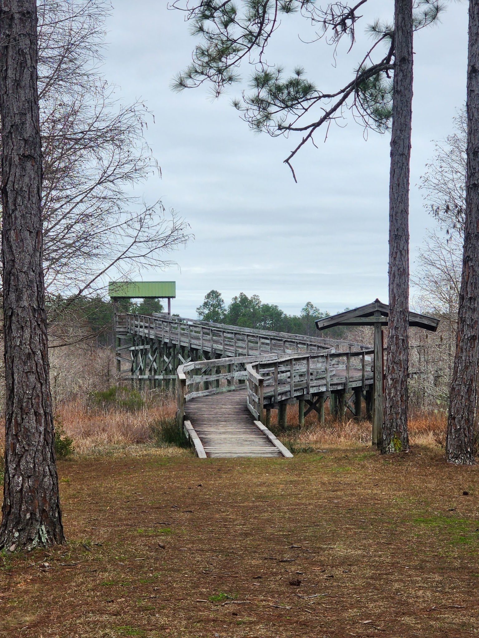 Tate&Apos;S Hell State Forest Juniper Creek Primitive Campsites