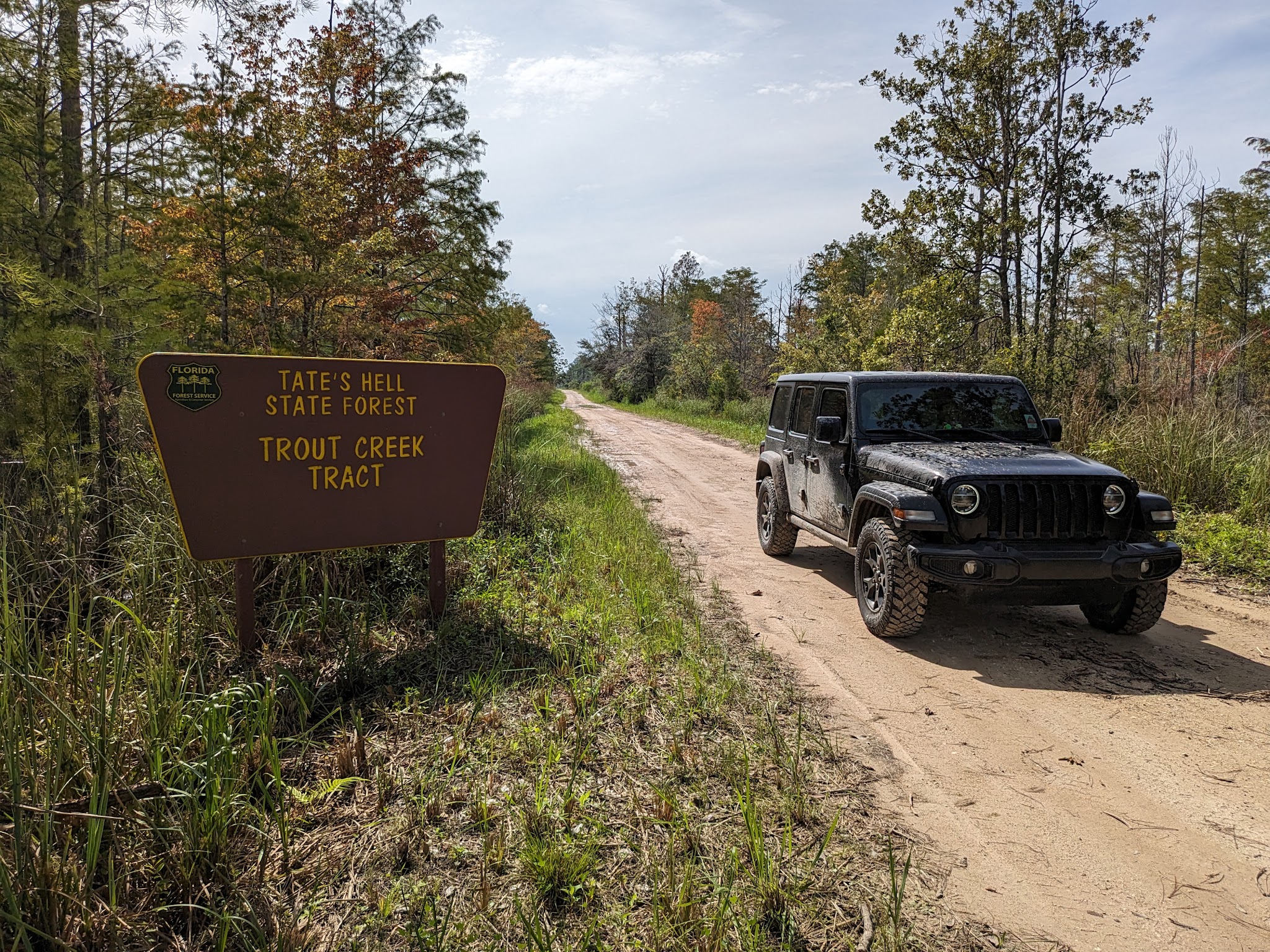 Tate&Apos;S Hell State Forest Juniper Creek Primitive Campsites