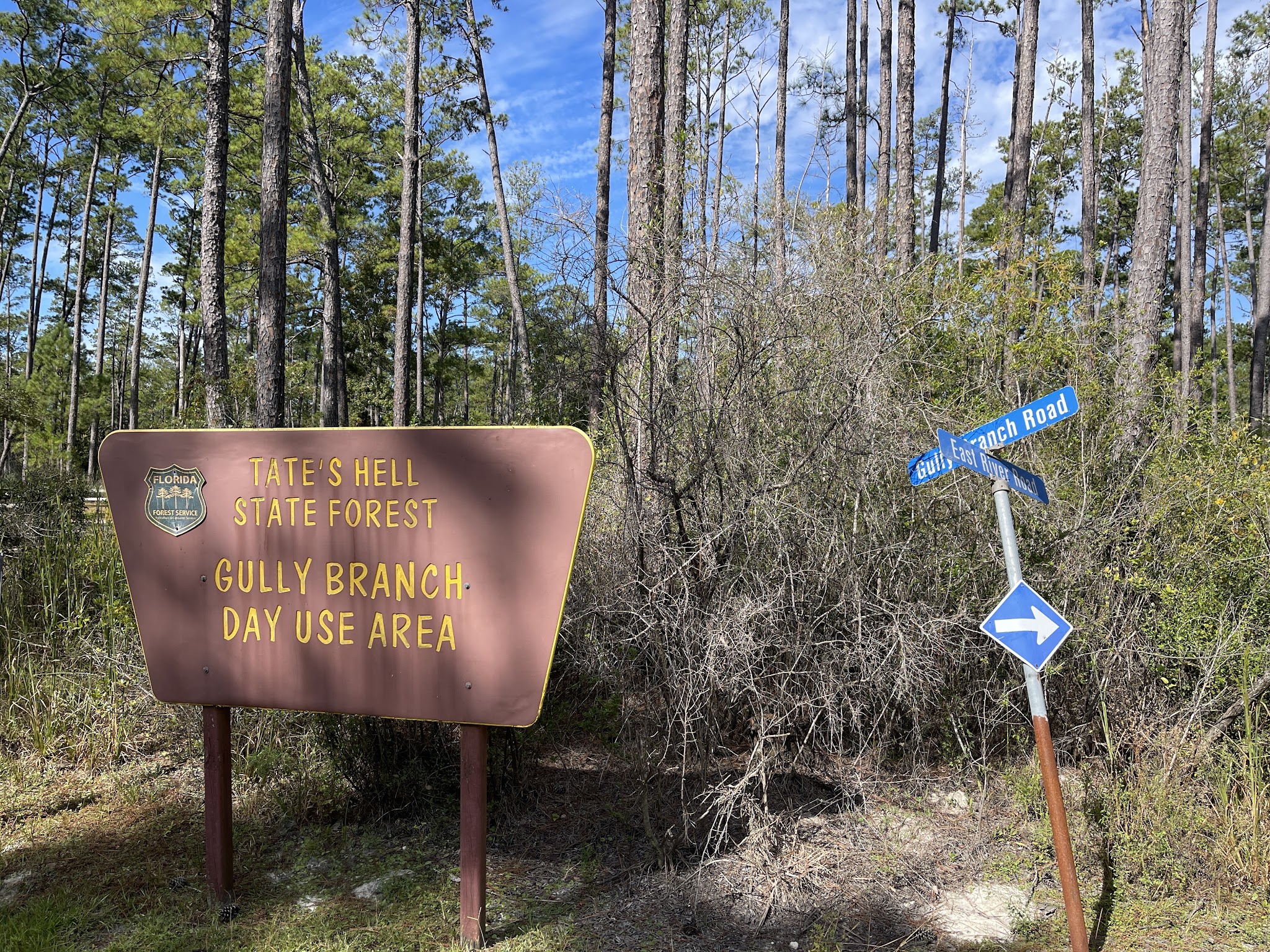 Tate&Apos;S Hell State Forest Womack Creek Campground