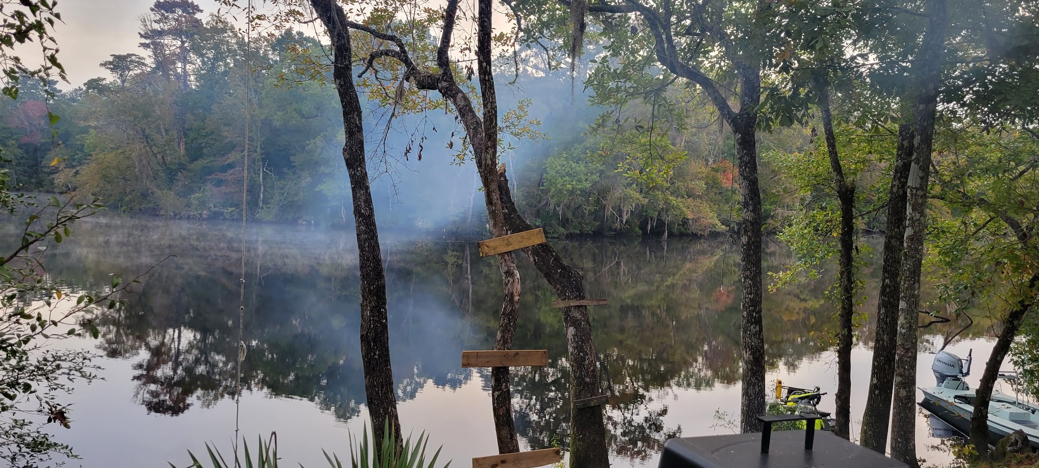 Tate&Apos;S Hell State Forest Womack Creek Campground