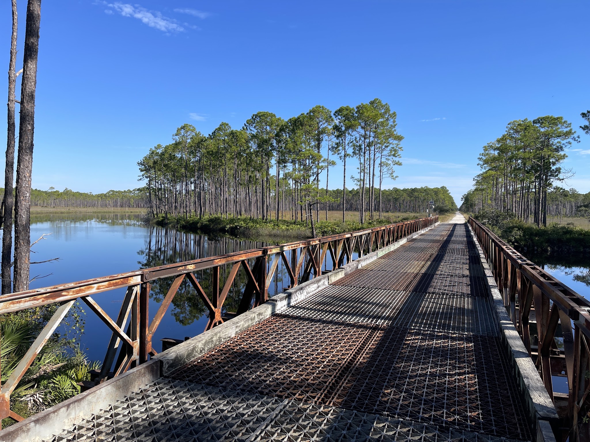 Tate&Apos;S Hell State Forest Womack Creek Campground