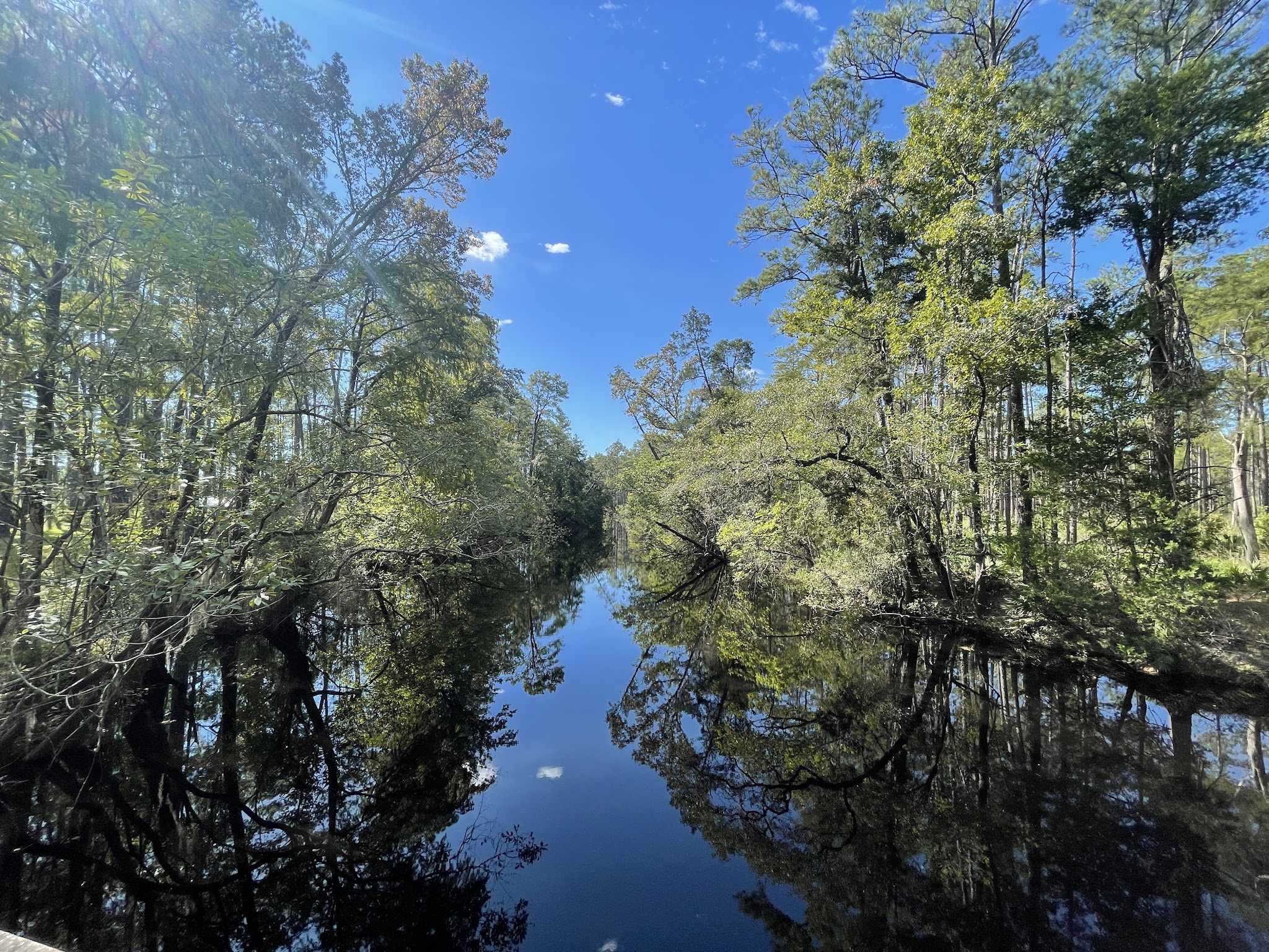 Tate&Apos;S Hell State Forest Womack Creek Campground
