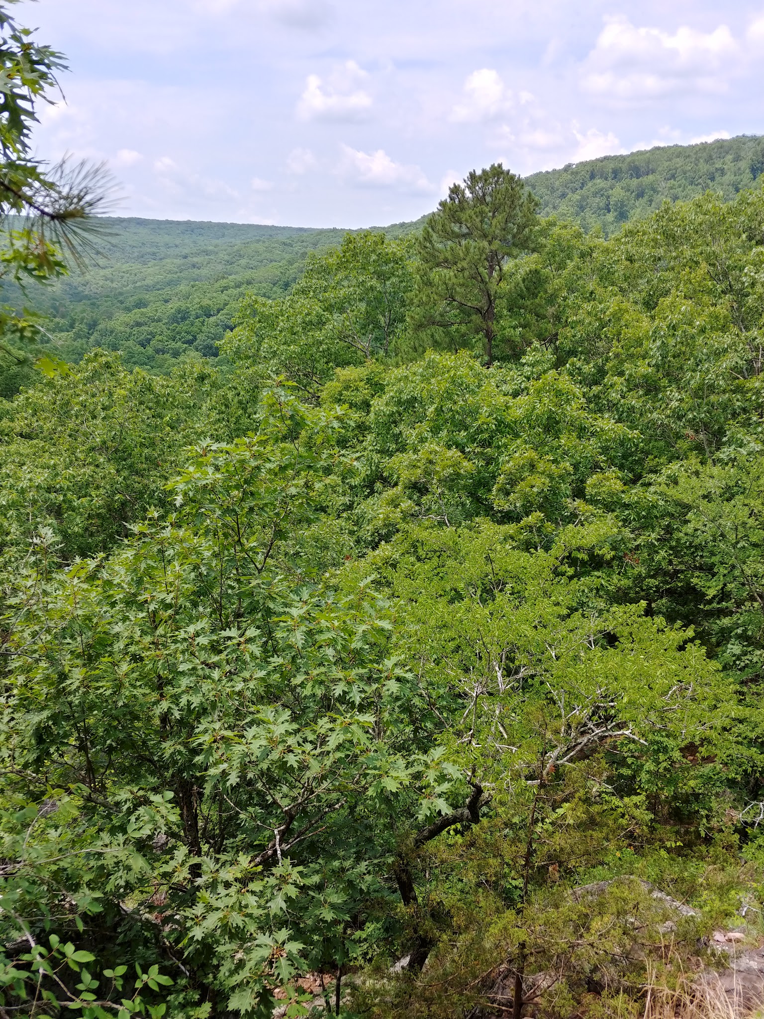 Taum Sauk Mountain State Park Campground