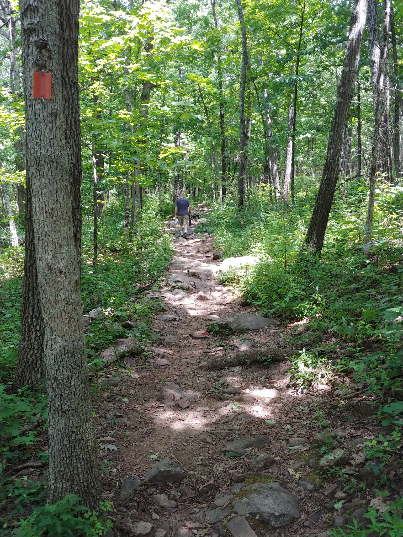 Taum Sauk Mountain State Park Campground