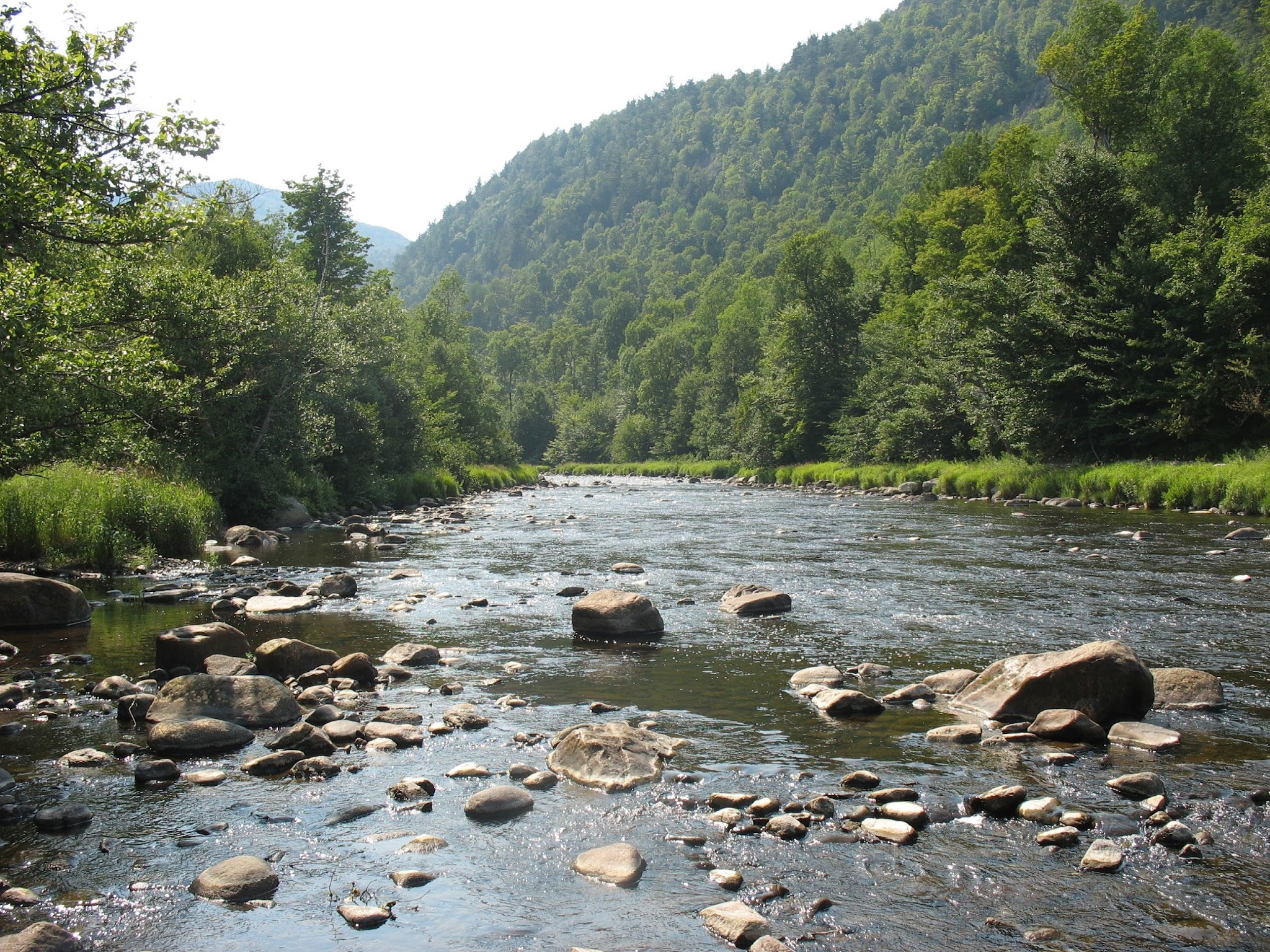 Taylor Pond Campground