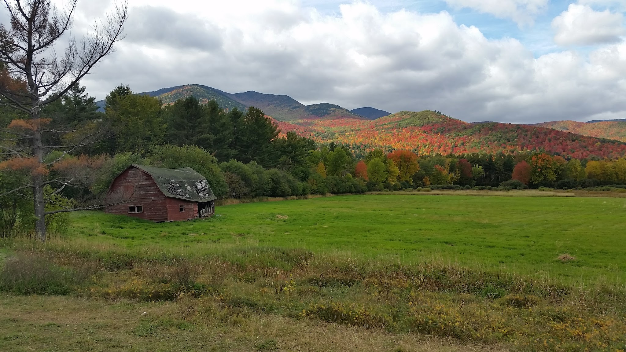 Taylor Pond Campground