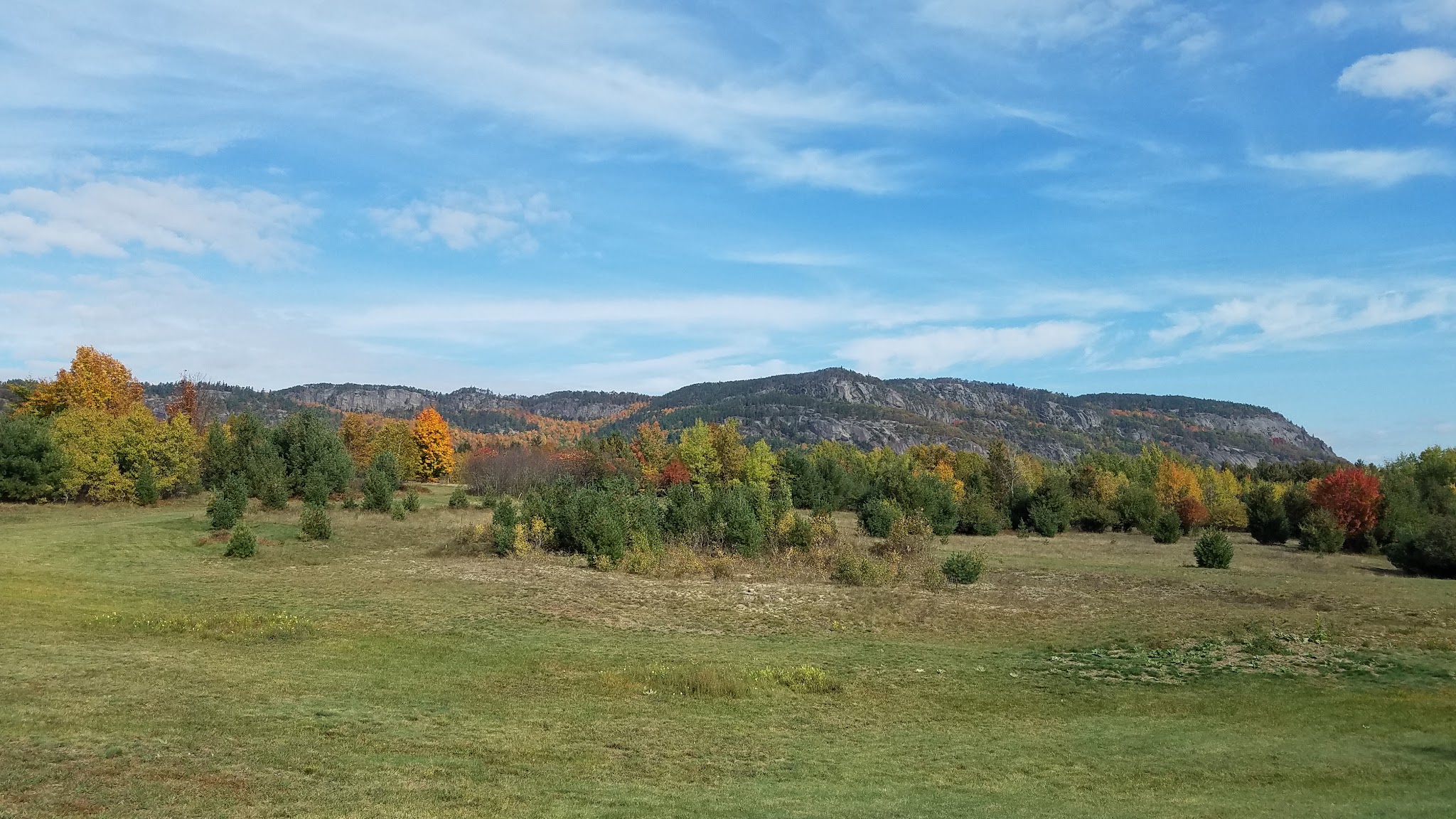Taylor Pond Campground