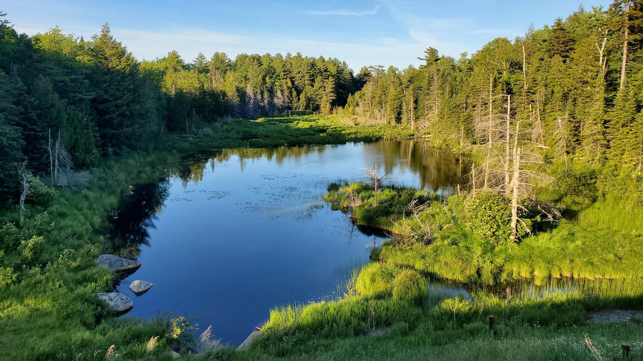 Taylor Pond Campground