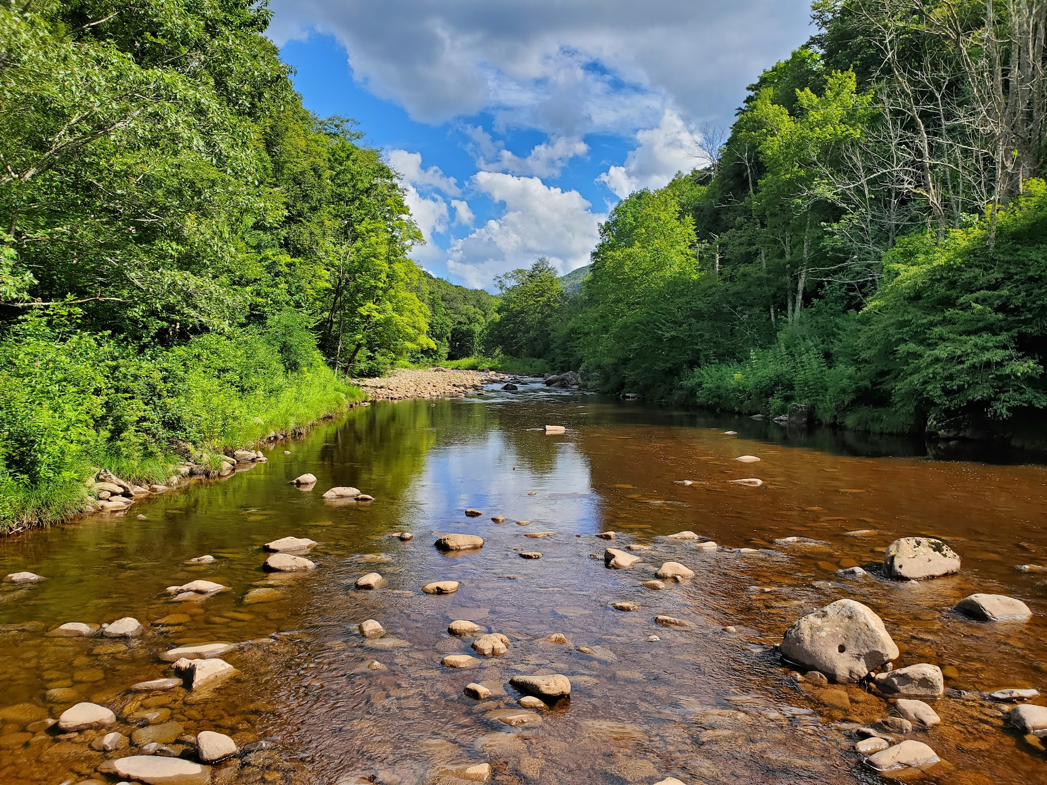 Tea Creek Campground