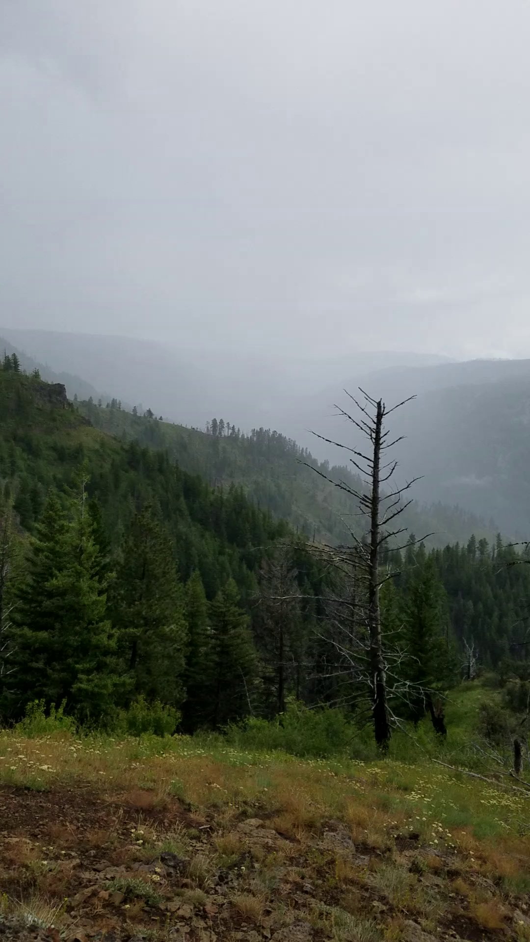 Teal Spring Campground