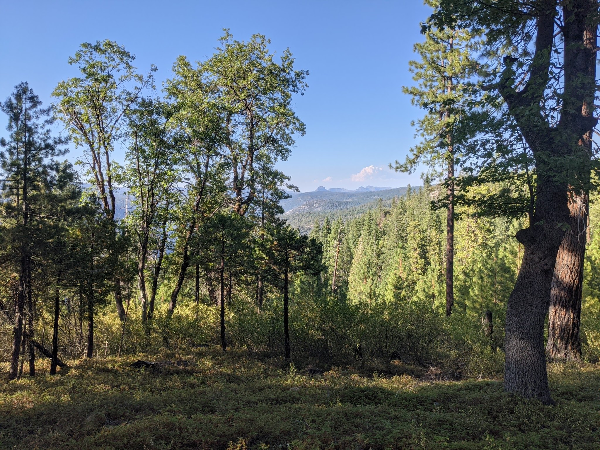 Teleli Pulaya (Black Oak) Campground