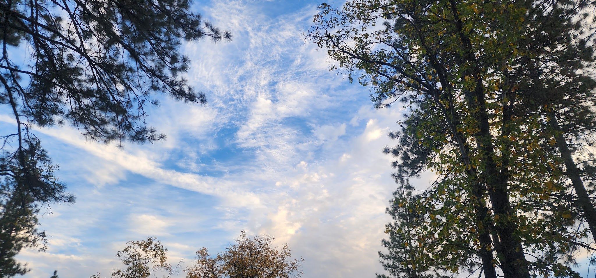 Teleli Pulaya (Black Oak) Campground