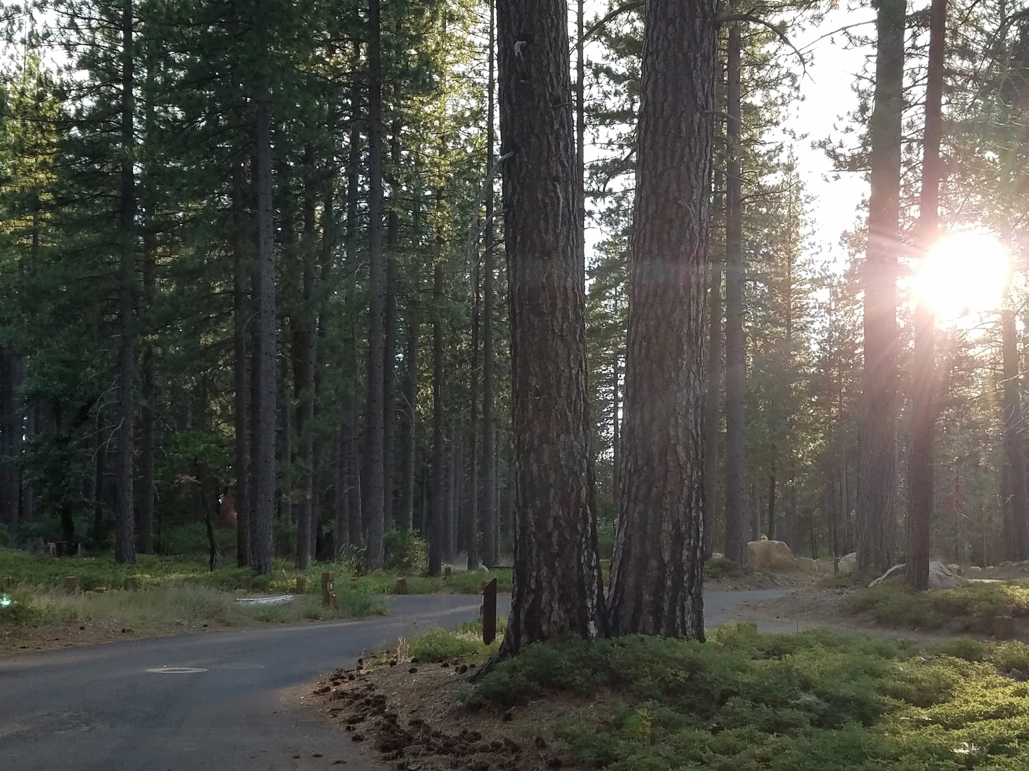 Teleli Pulaya (Black Oak) Campground