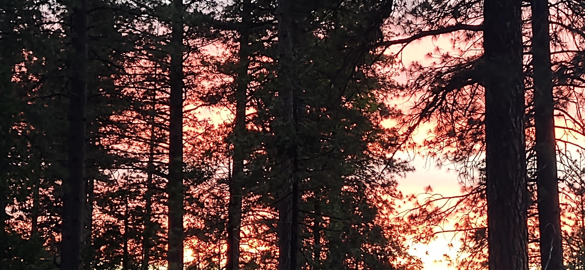 Teleli Pulaya (Black Oak) Campground