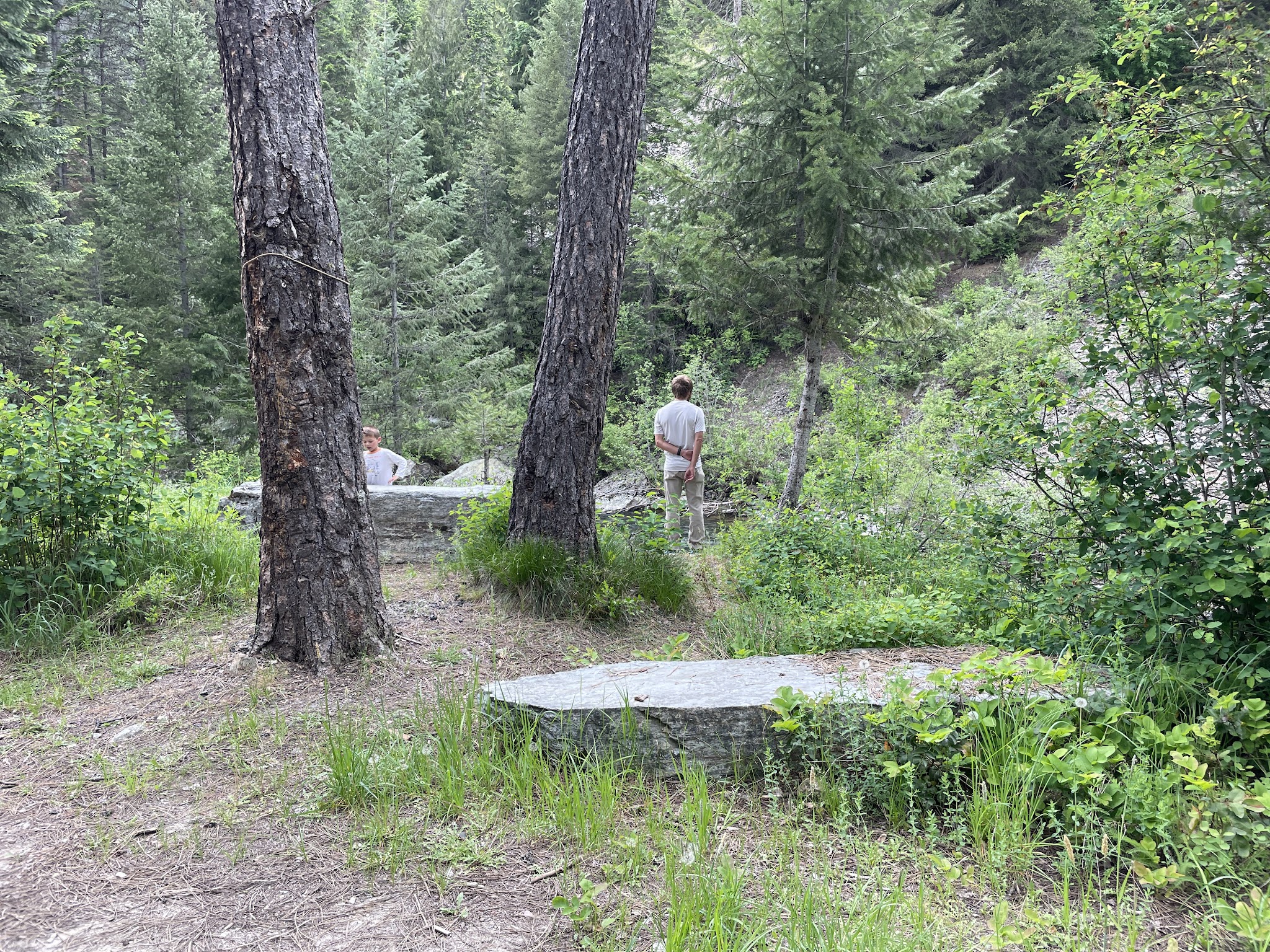 Telichpah Campground