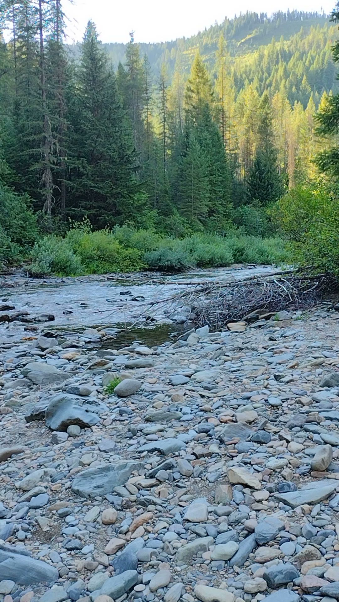 Telichpah Campground