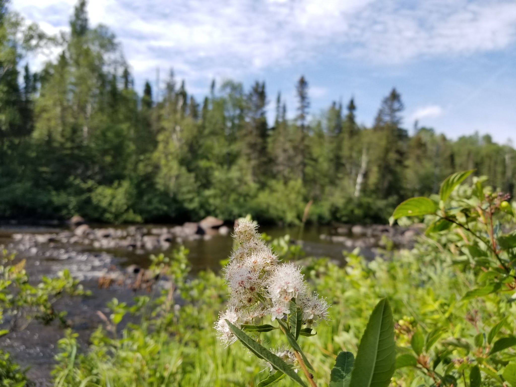 Temperance River Campground