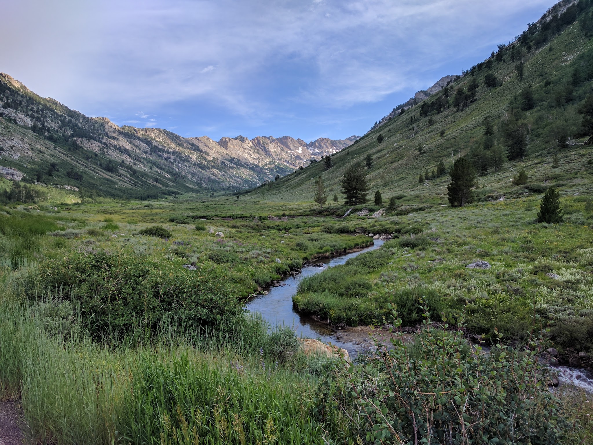 Terraces Campground - Picnic Area