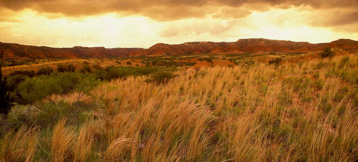 Caprock Canyons State Park And Trailway