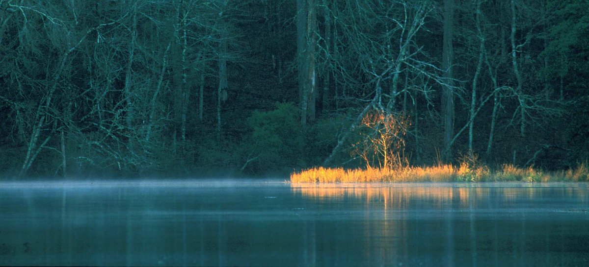 Huntsville State Park