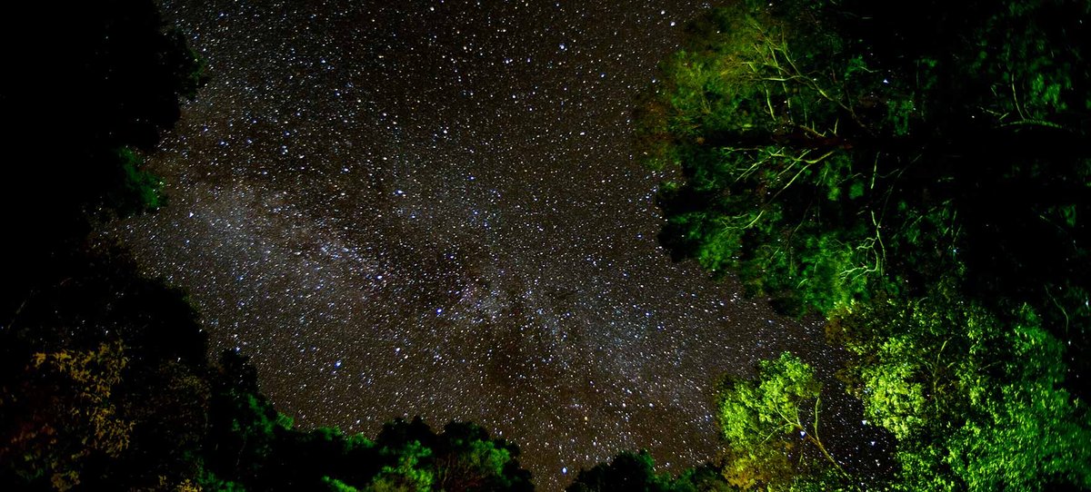 Martin Dies Jr. State Park