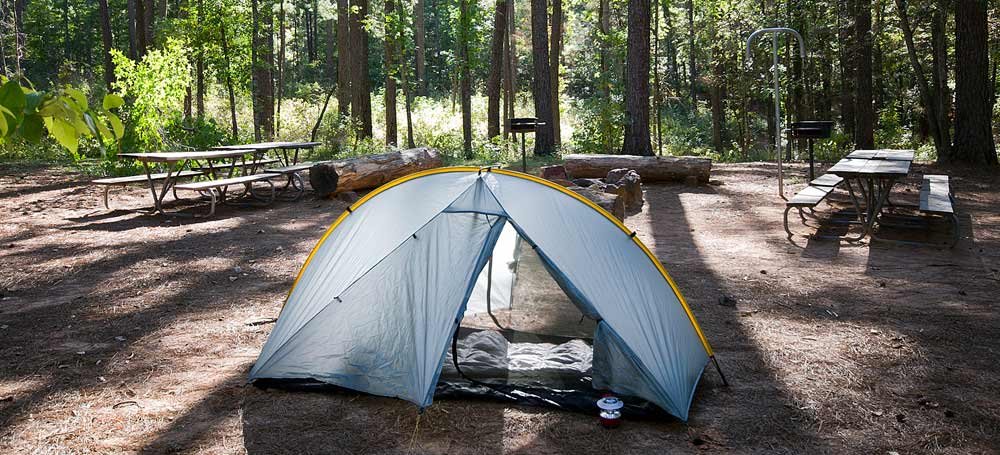Mission Tejas State Park