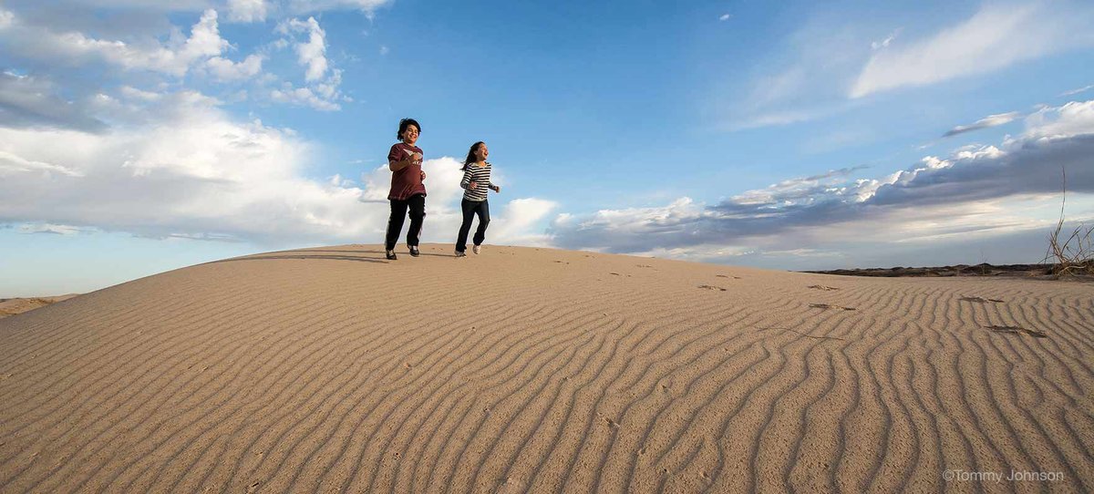 Monahans Sandhills State Park