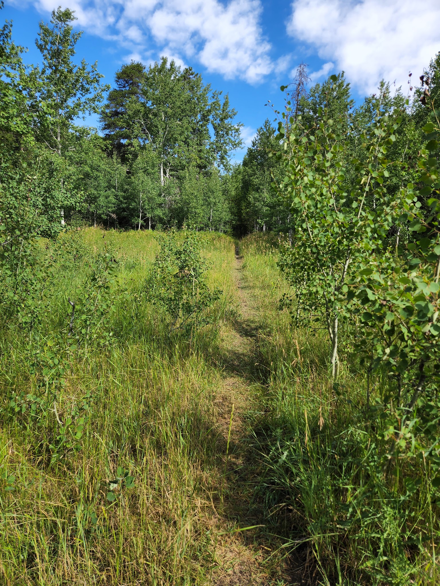 Thain Creek Campground