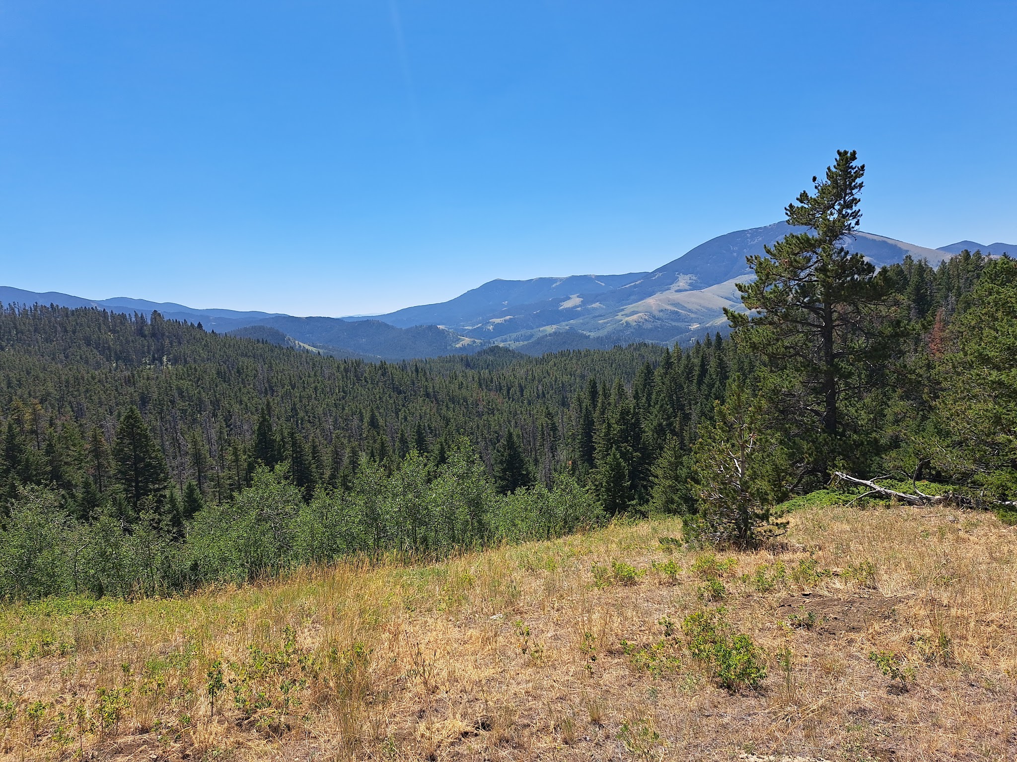 Thain Creek Campground