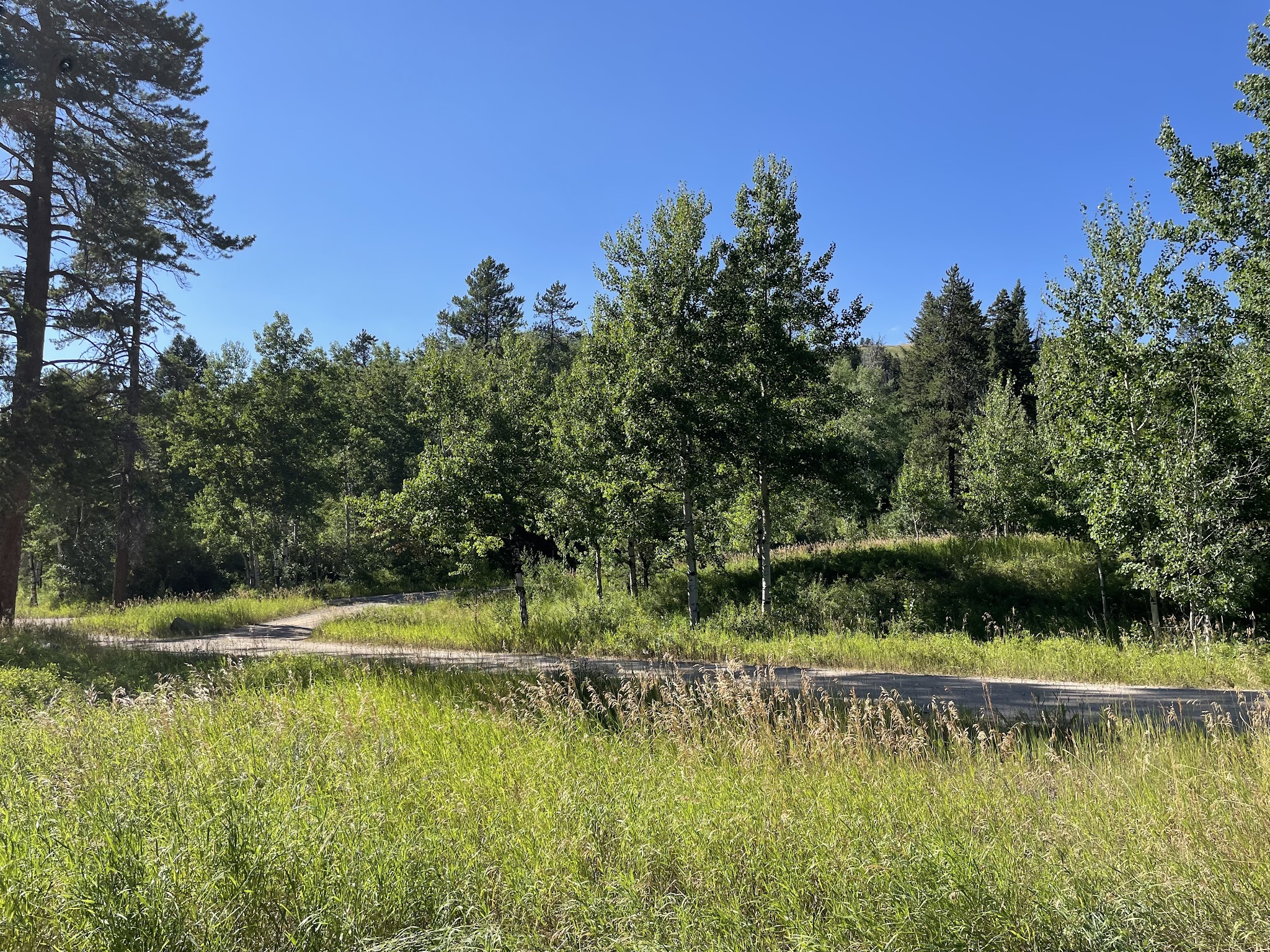 Thain Creek Campground