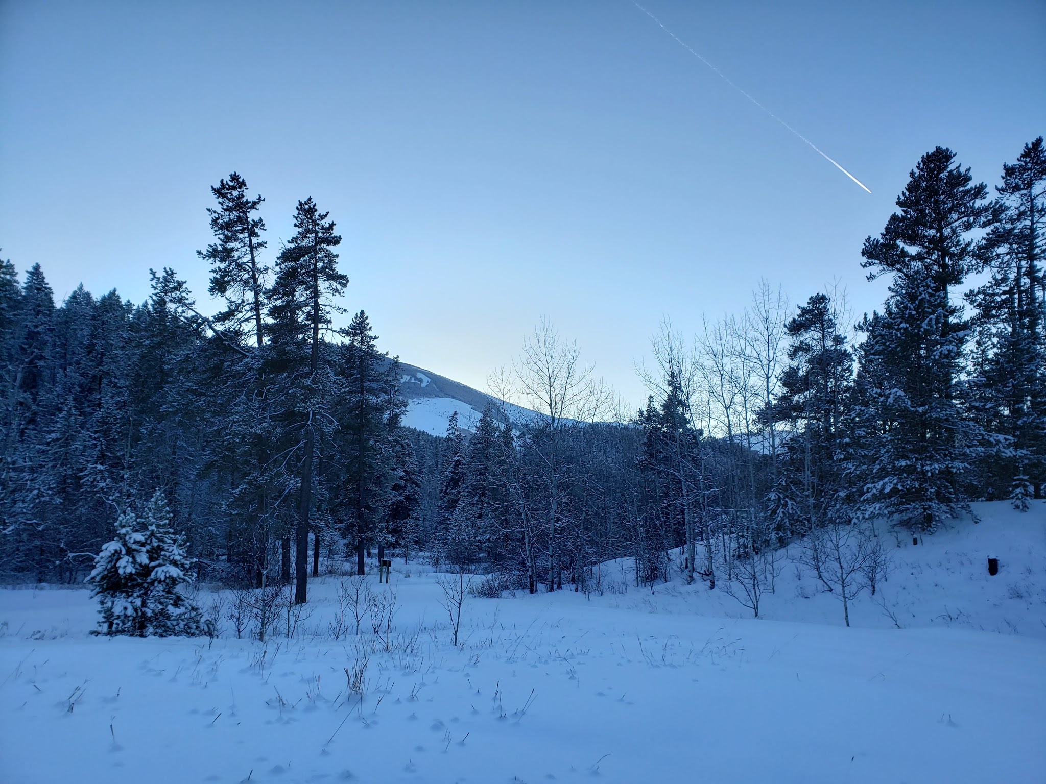 Thain Creek Campground