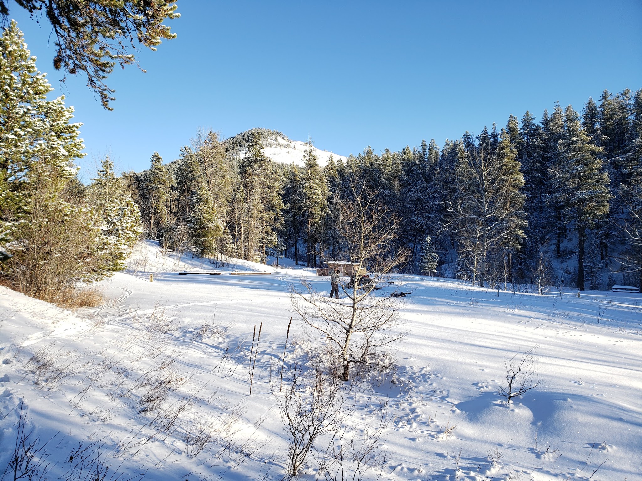 Thain Creek Campground