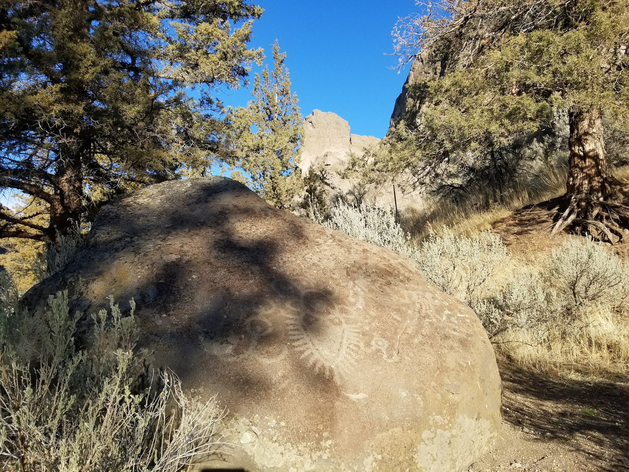 Cove Palisades State Park