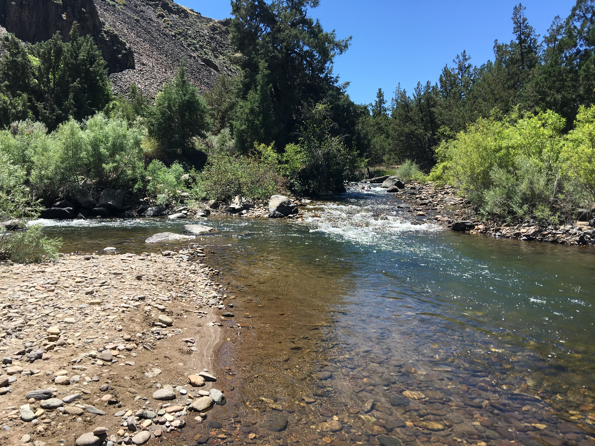 The Forks Campground | ID | Camping Information & Reviews