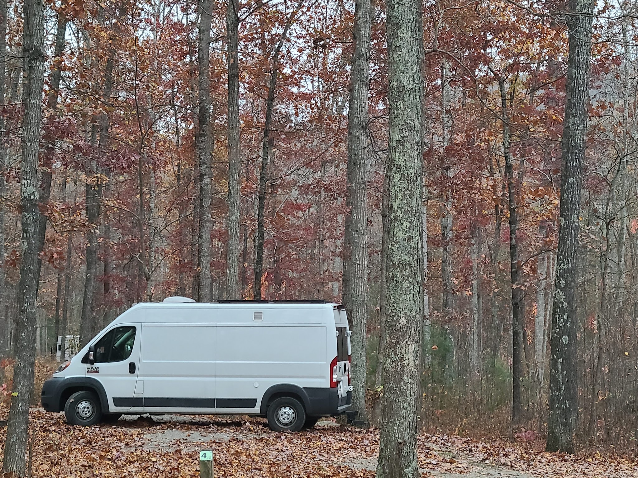 The Pines Campground