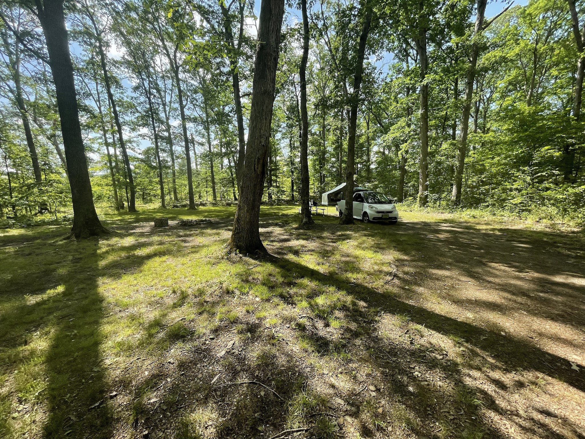 The Pines Campground