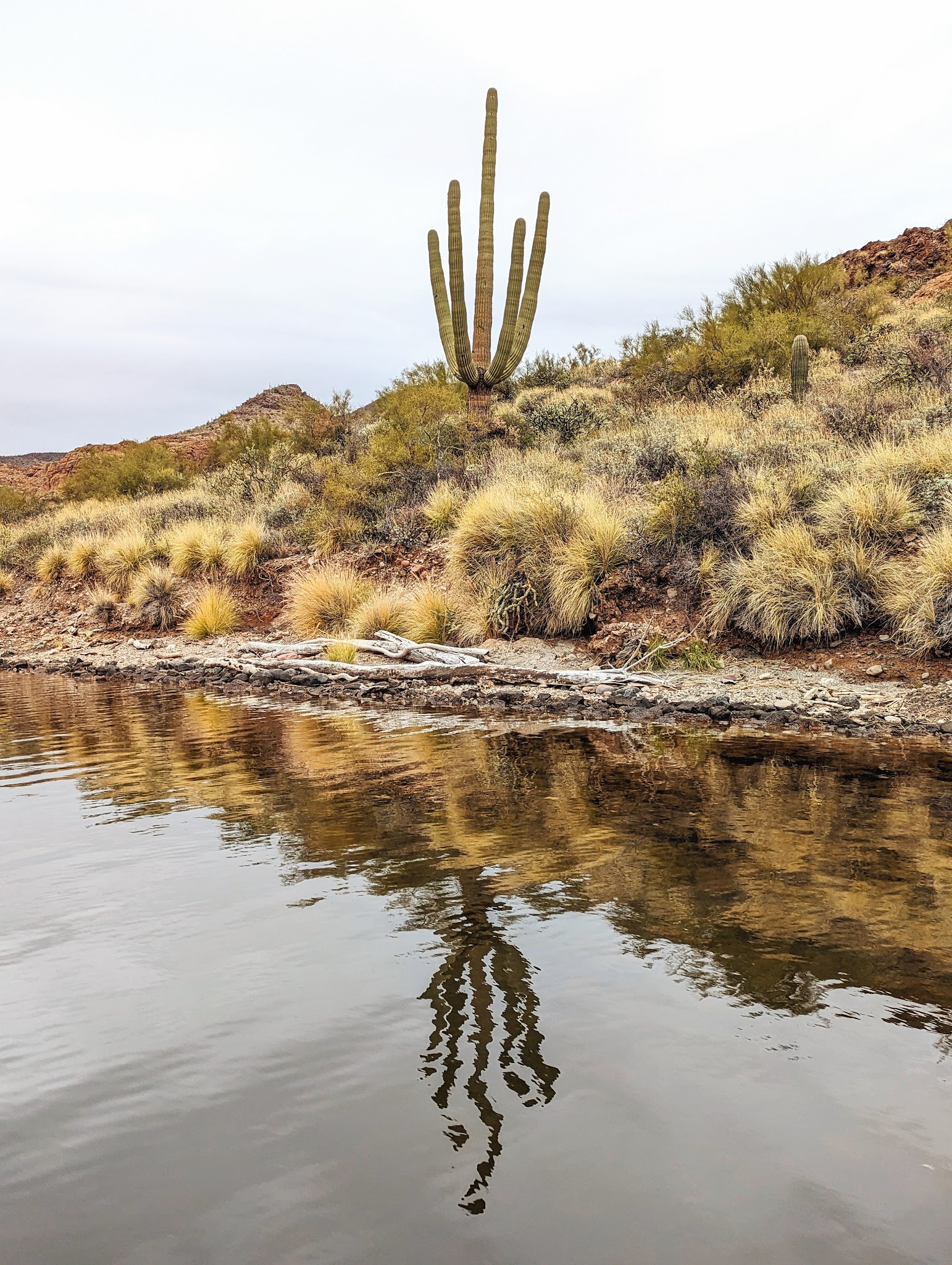 The Point Boat Dock, Campground And Picnic Area